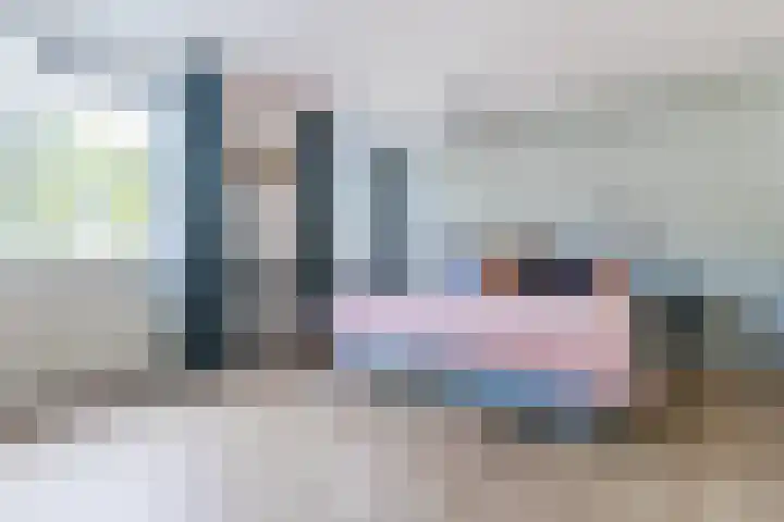 Potvis 10 Heerhugowaard thumbnail 19