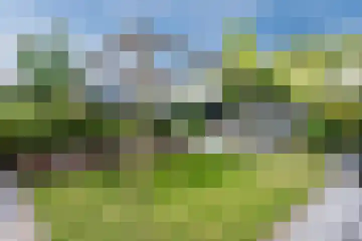 Potvis 10 Heerhugowaard thumbnail 36
