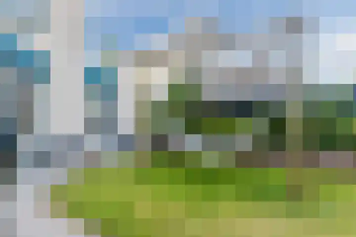 Potvis 10 Heerhugowaard thumbnail 39