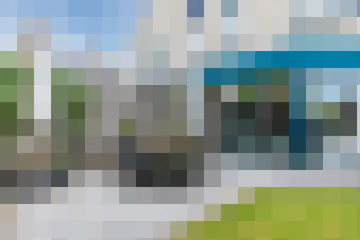 Potvis 10 Heerhugowaard thumbnail 40