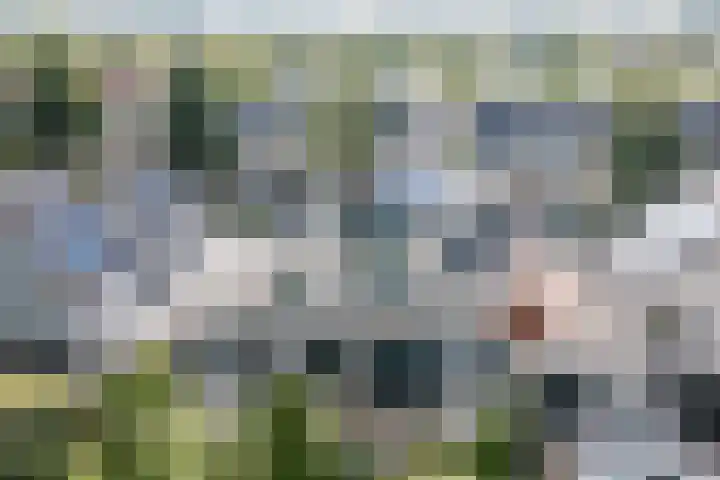 Potvis 10 Heerhugowaard thumbnail 41
