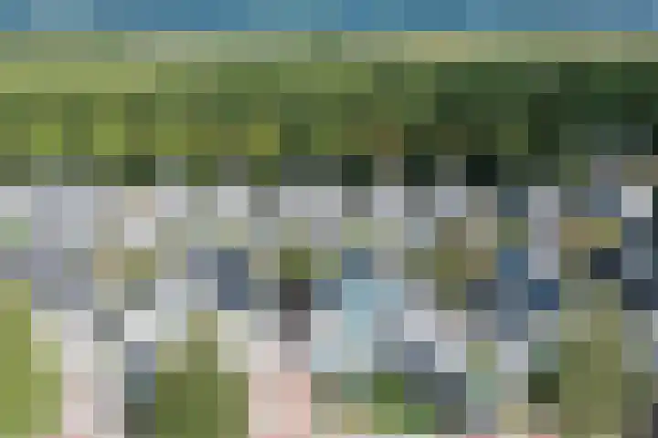 Potvis 10 Heerhugowaard thumbnail 42