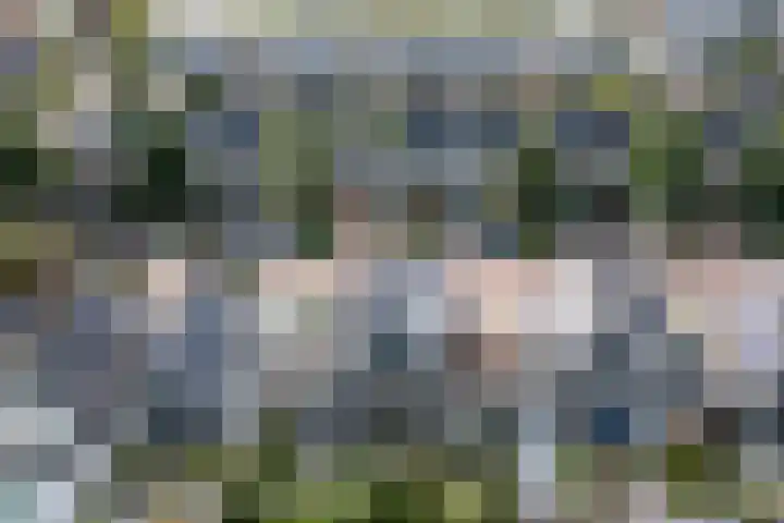 Potvis 10 Heerhugowaard thumbnail 43