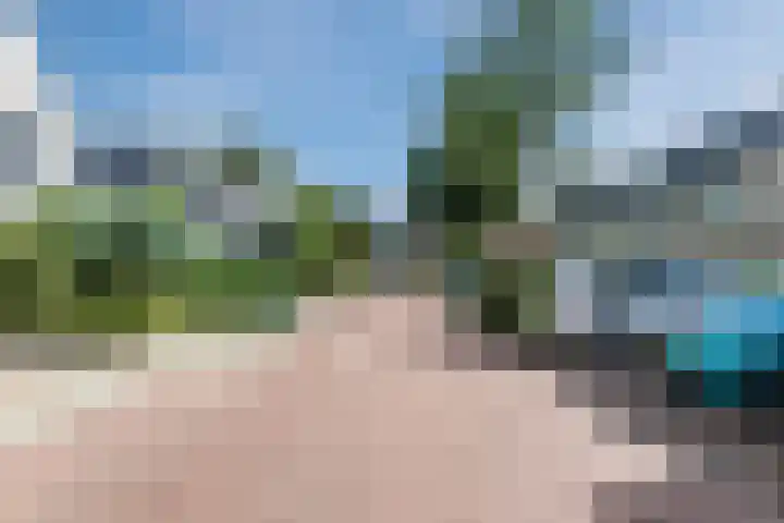 Potvis 10 Heerhugowaard thumbnail 44
