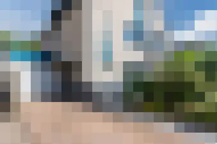 Potvis 10 Heerhugowaard thumbnail 46