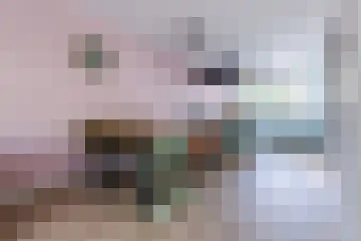 Potvis 10 Heerhugowaard thumbnail 6