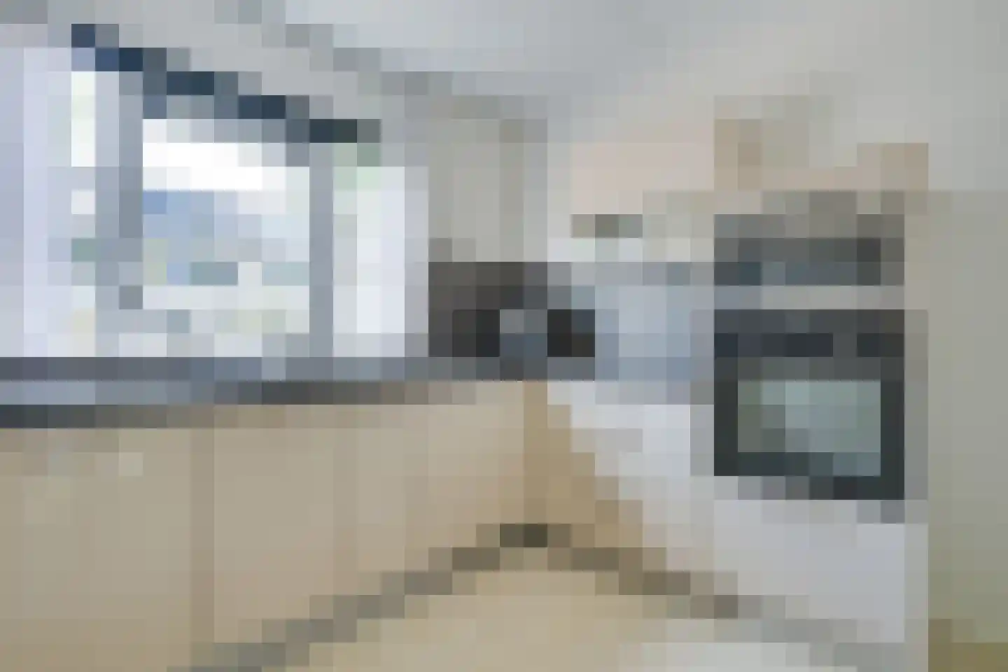 Potvis 12 Heerhugowaard thumbnail 16