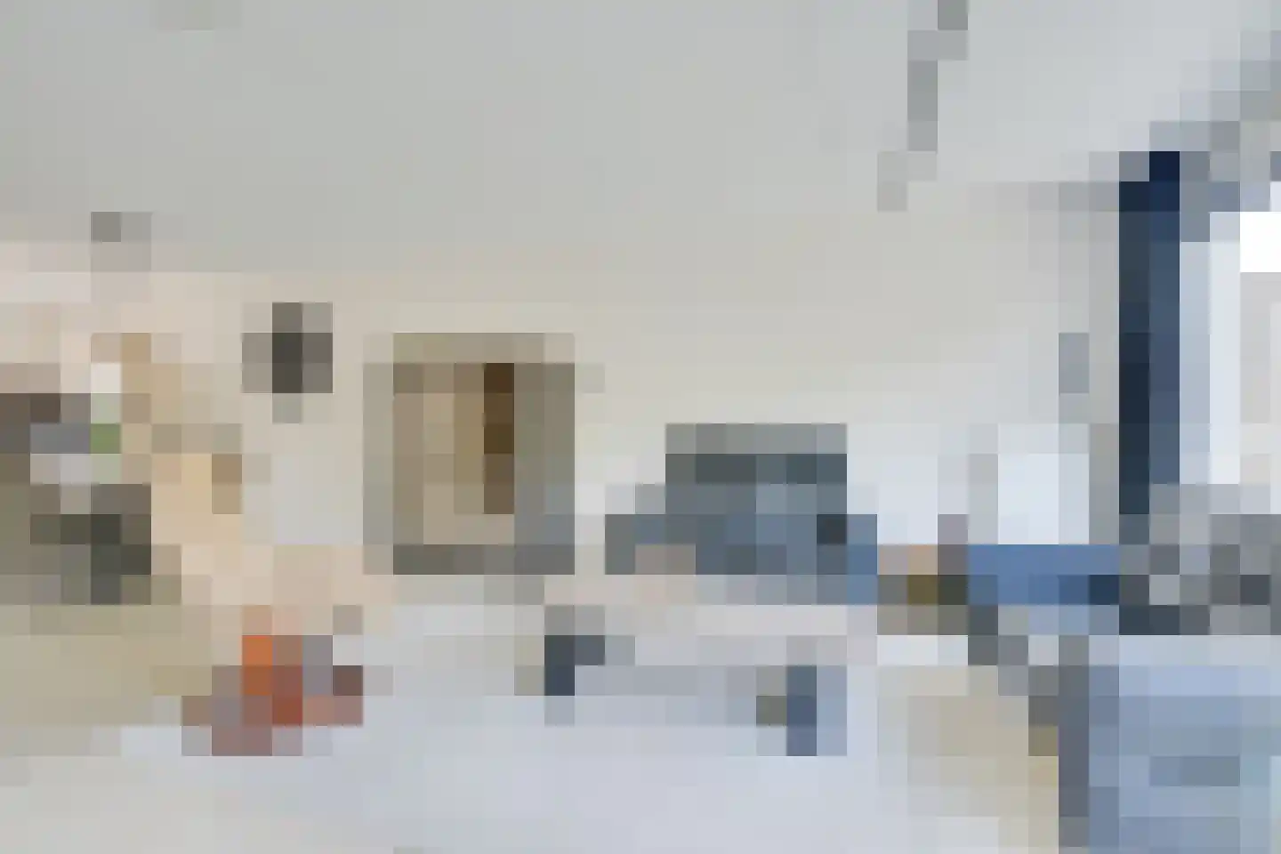 Potvis 12 Heerhugowaard thumbnail 8