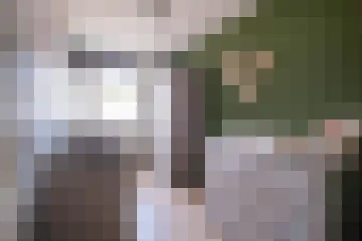 Potvis 25 Heerhugowaard thumbnail 20
