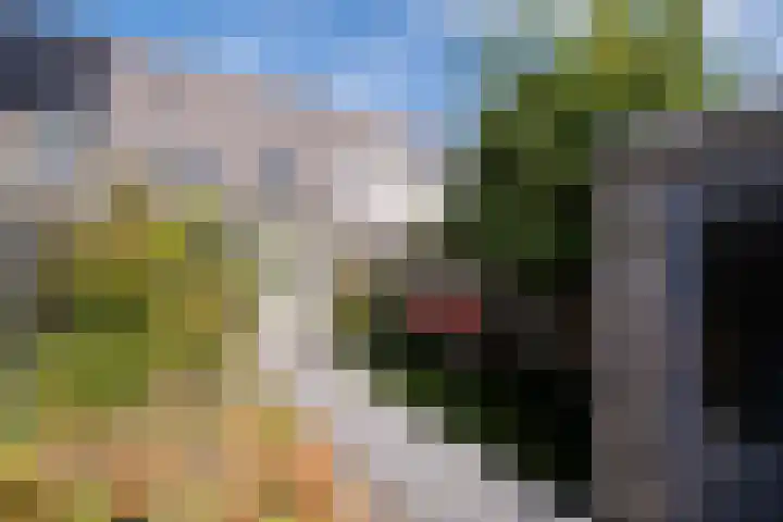 Potvis 25 Heerhugowaard thumbnail 32