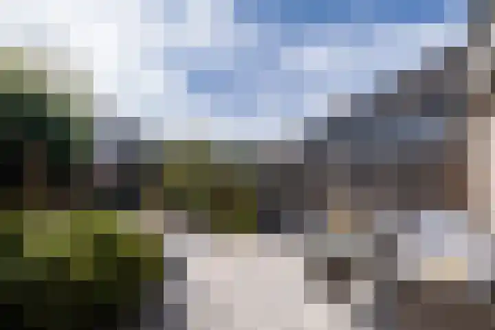 Potvis 25 Heerhugowaard thumbnail 33