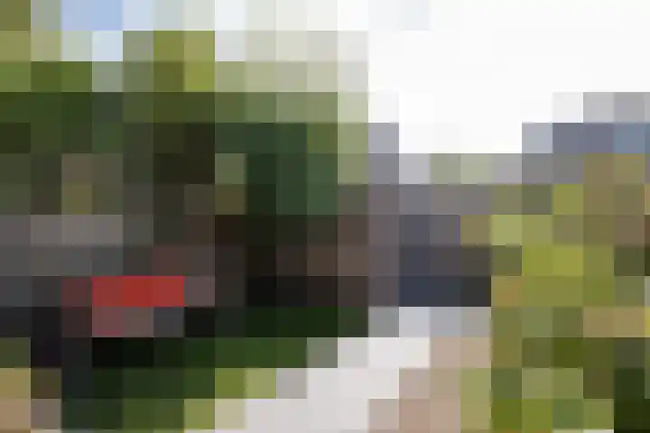 Potvis 25 Heerhugowaard thumbnail 34