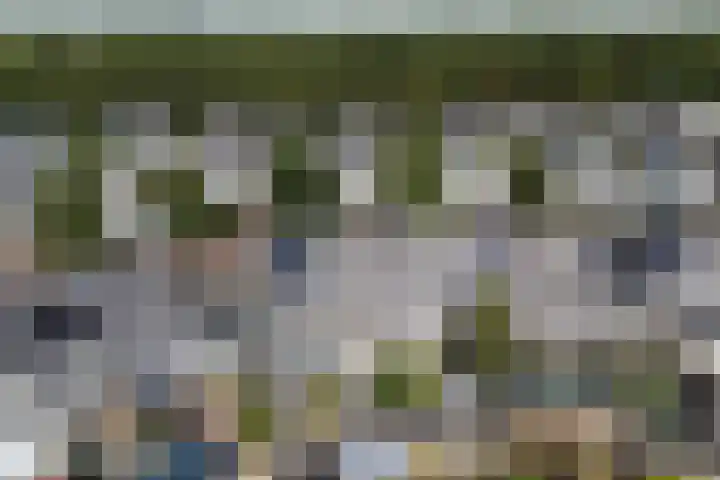 Potvis 25 Heerhugowaard thumbnail 36