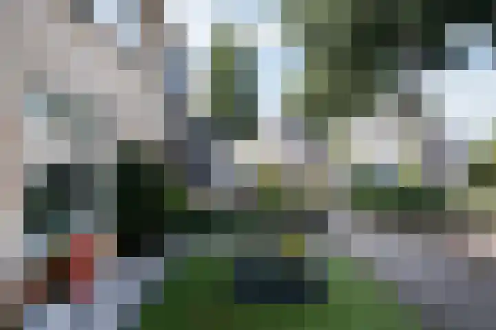 Potvis 25 Heerhugowaard thumbnail 37