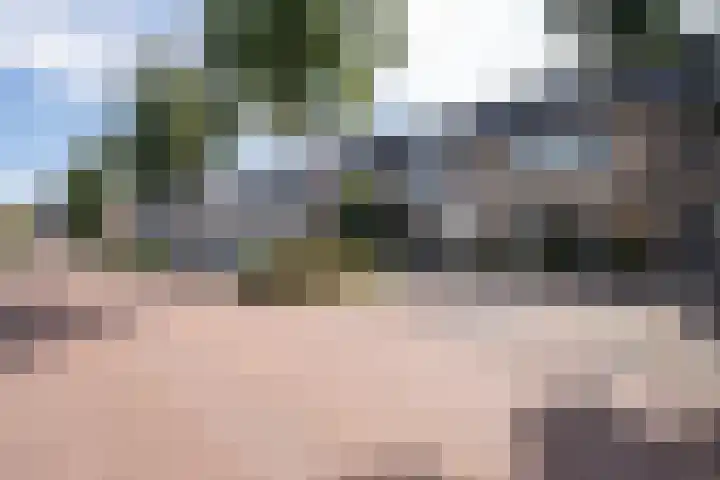 Potvis 25 Heerhugowaard thumbnail 38