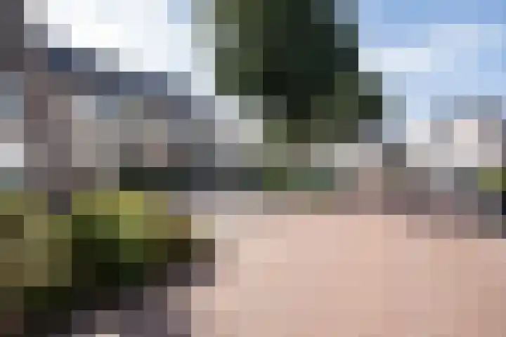 Potvis 25 Heerhugowaard thumbnail 39