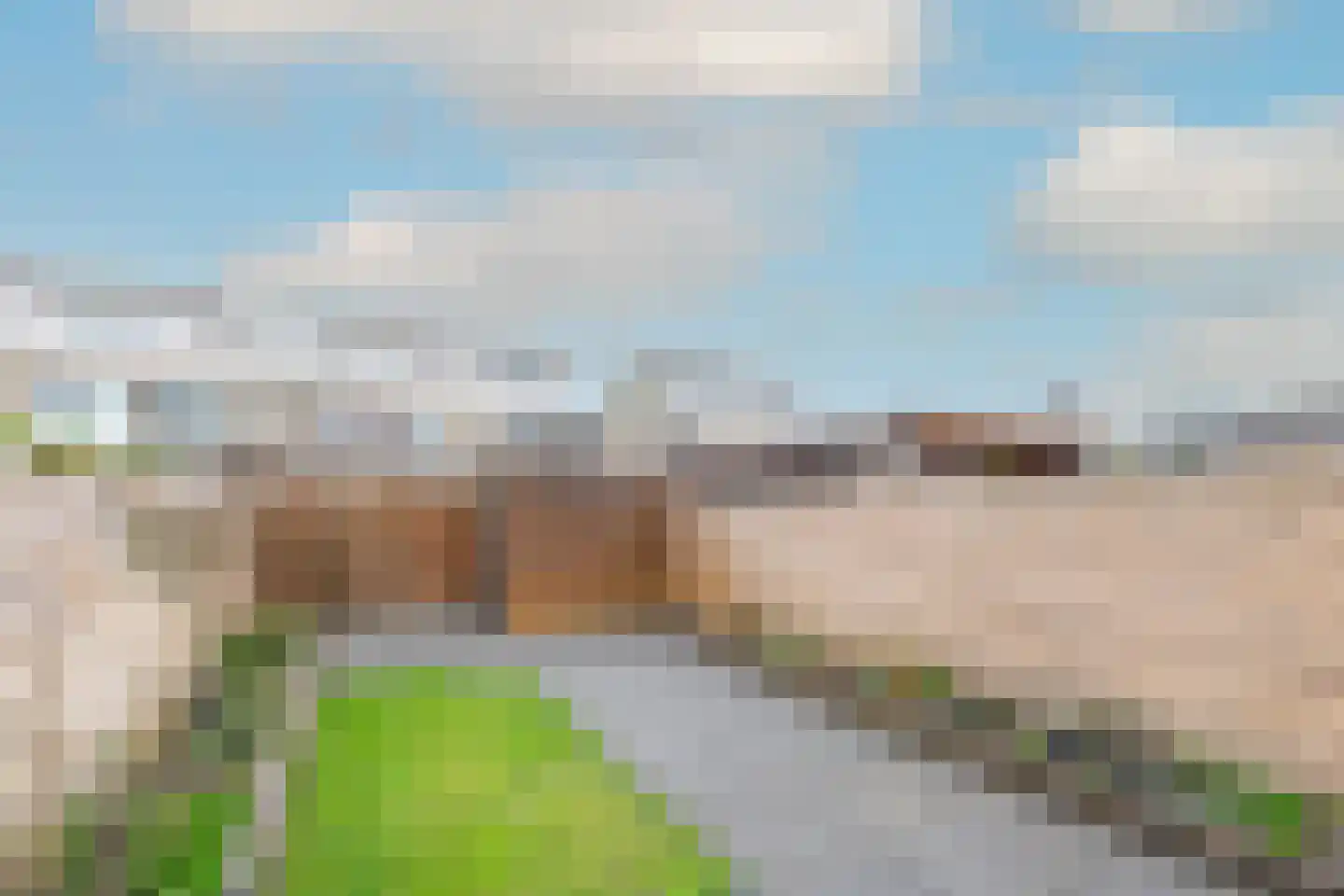 Potvis 95 Heerhugowaard thumbnail 32
