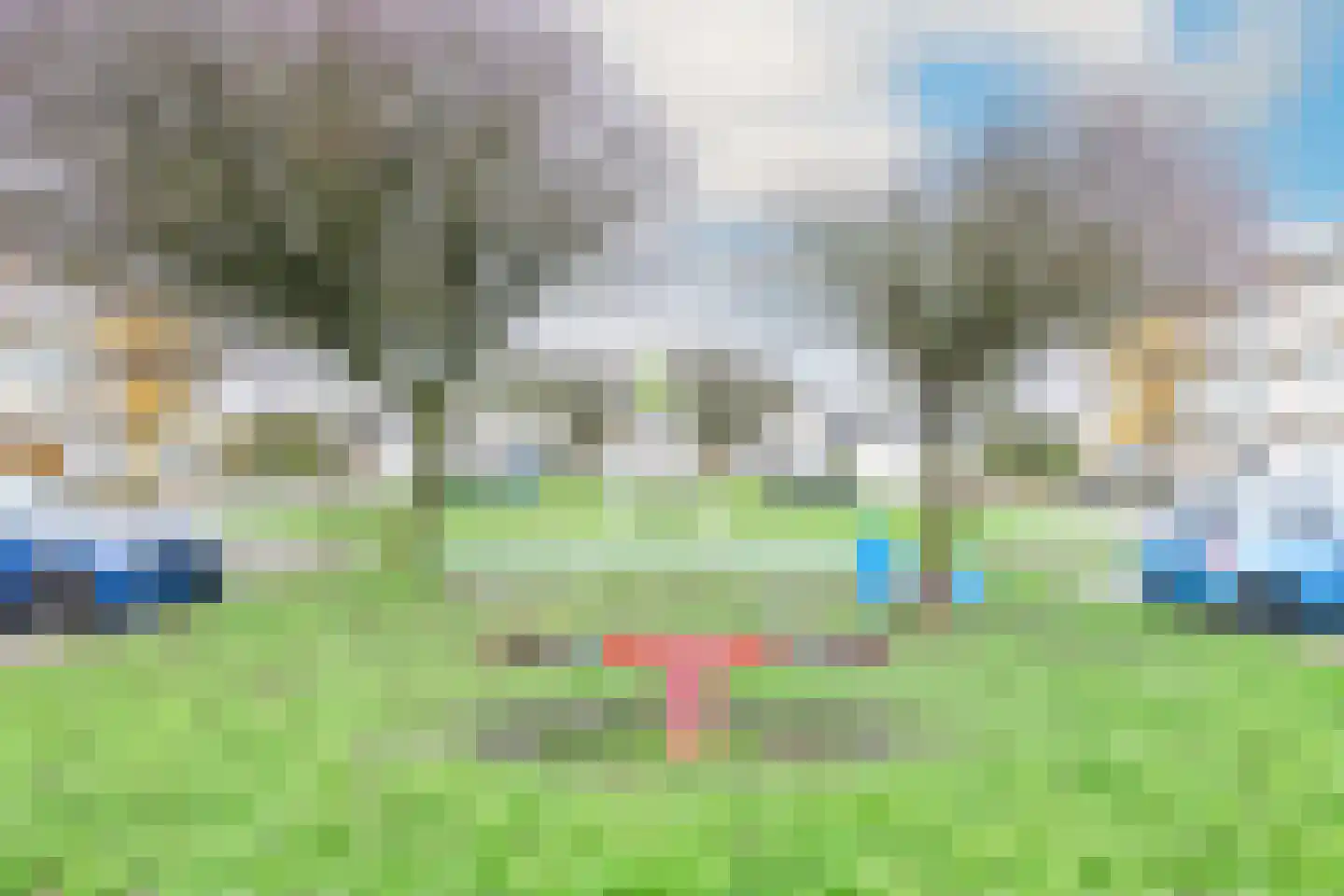 Potvis 95 Heerhugowaard thumbnail 38