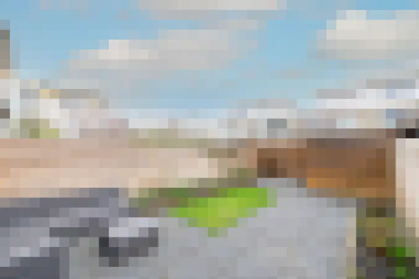 Potvis 95 Heerhugowaard thumbnail 6
