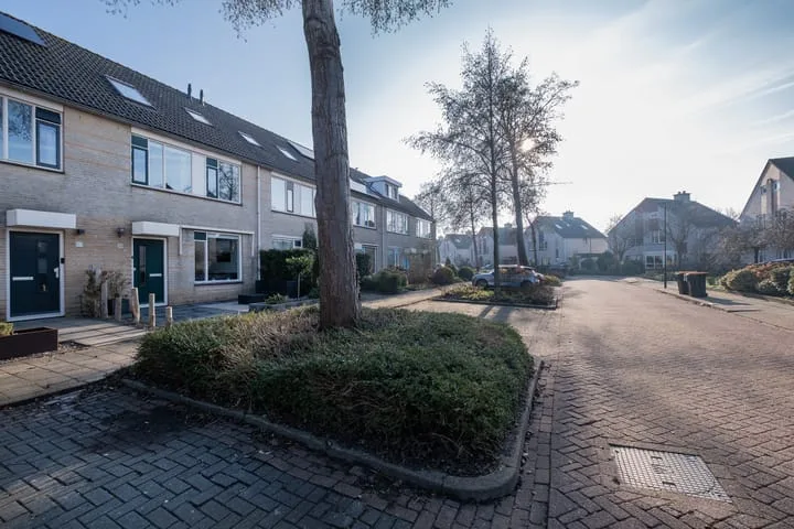 Potvis 99 Heerhugowaard thumbnail 33