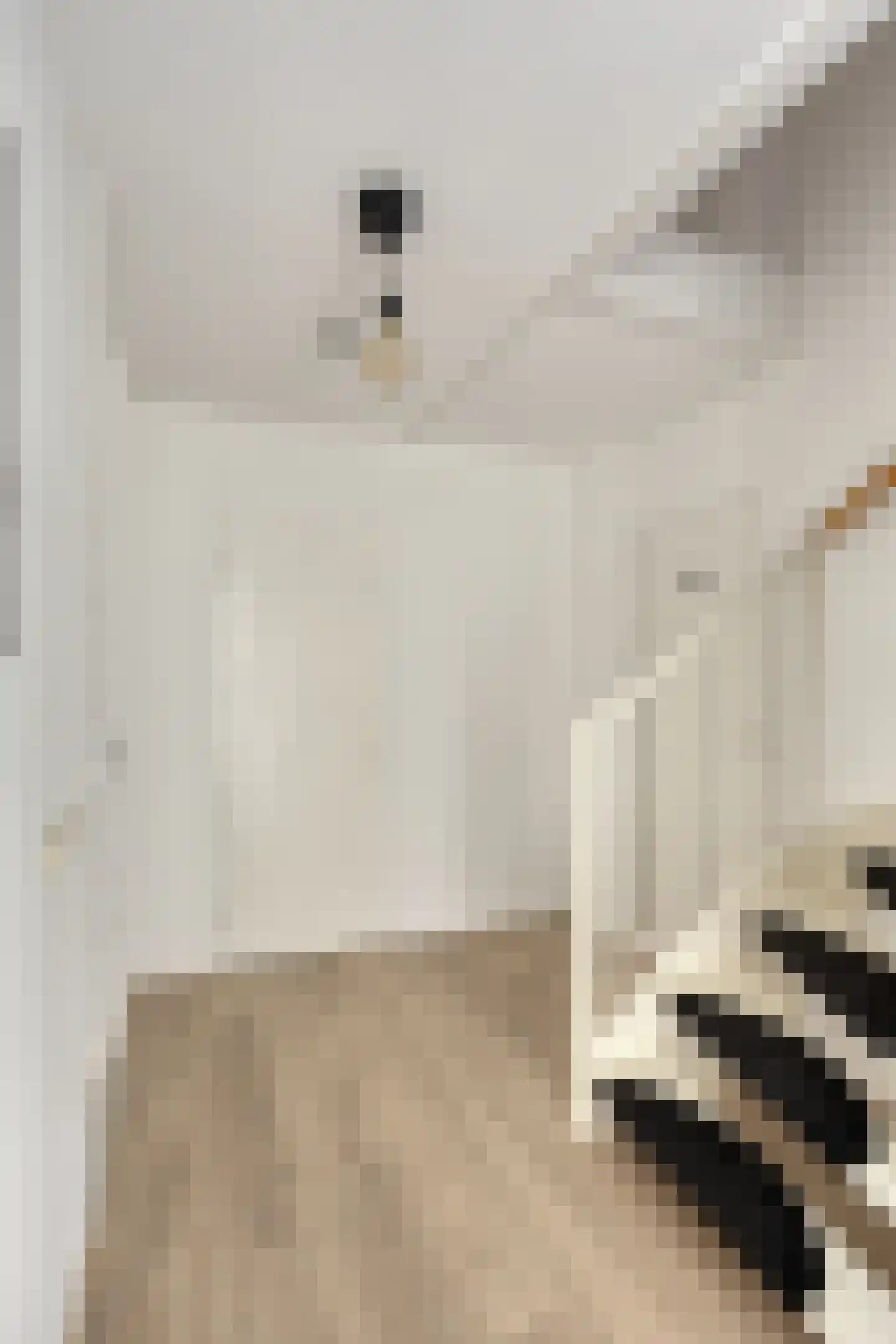 Potvisstraat 1 A Amsterdam thumbnail 11