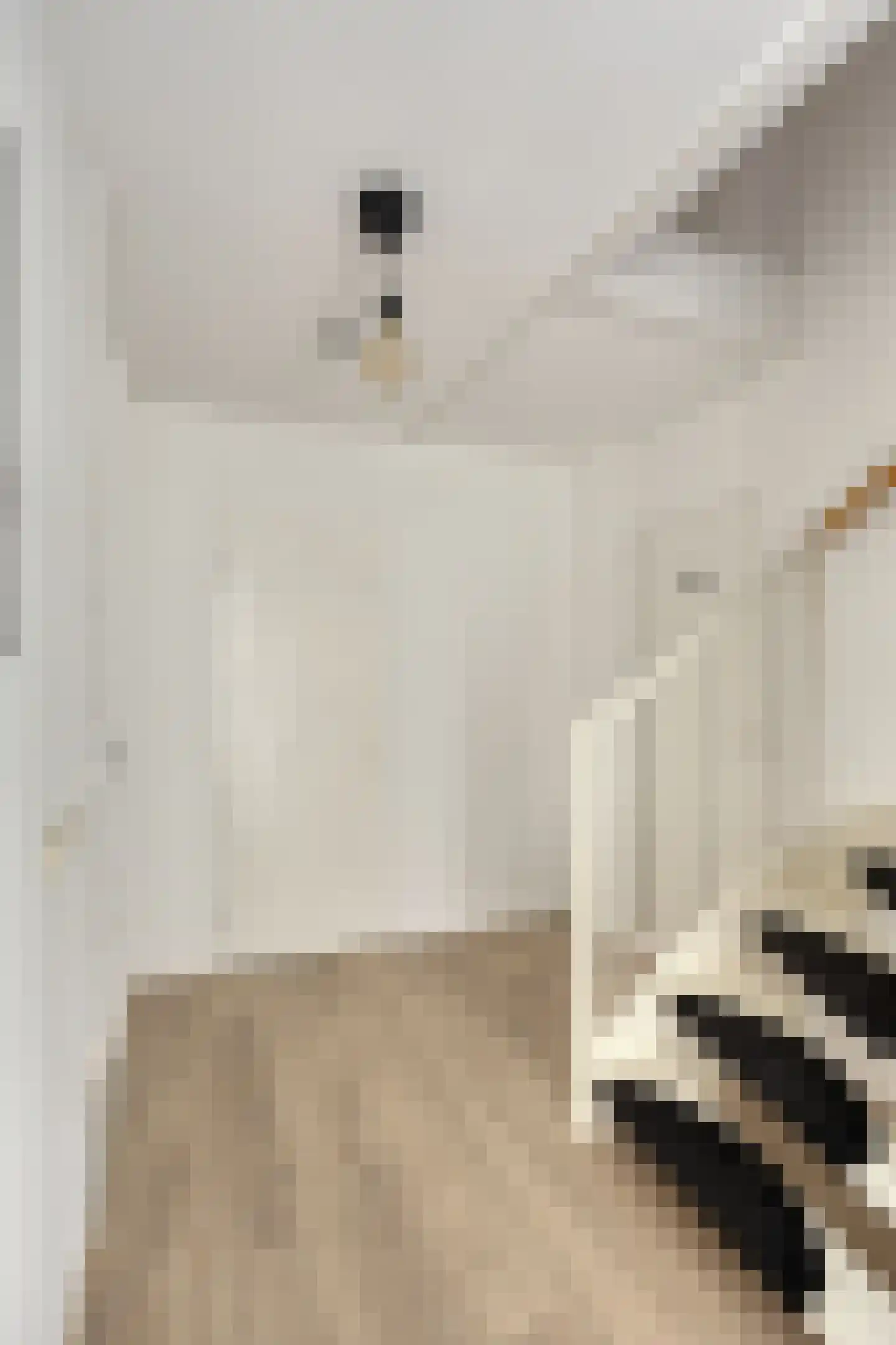 Potvisstraat 1 A Amsterdam thumbnail 11