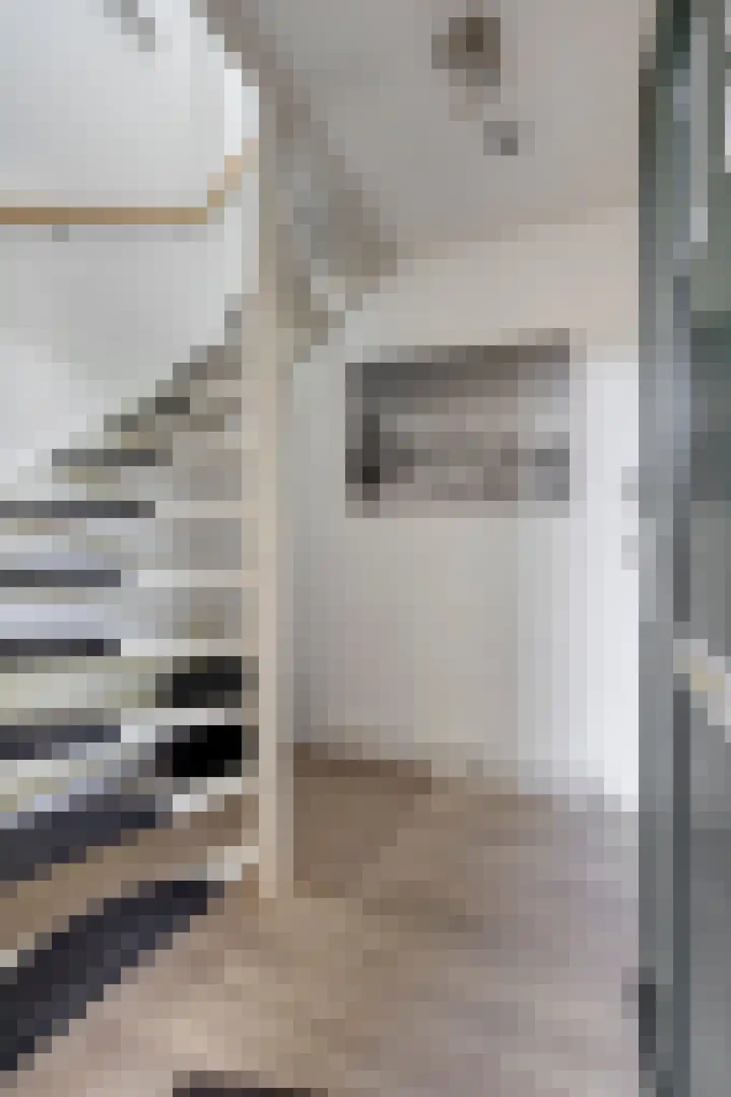 Potvisstraat 1 B Amsterdam thumbnail 7