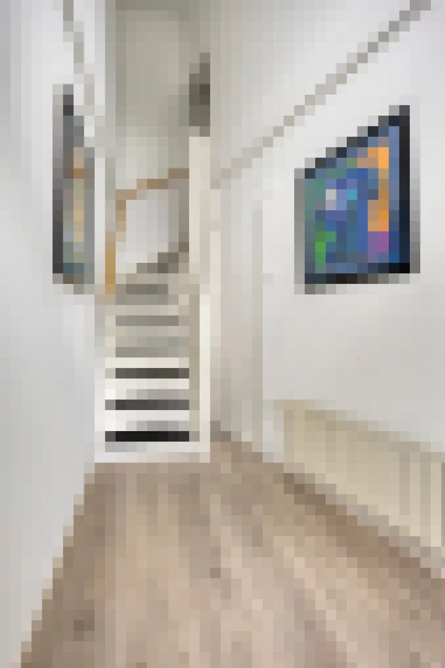 Potvisstraat 1 B Amsterdam thumbnail 9