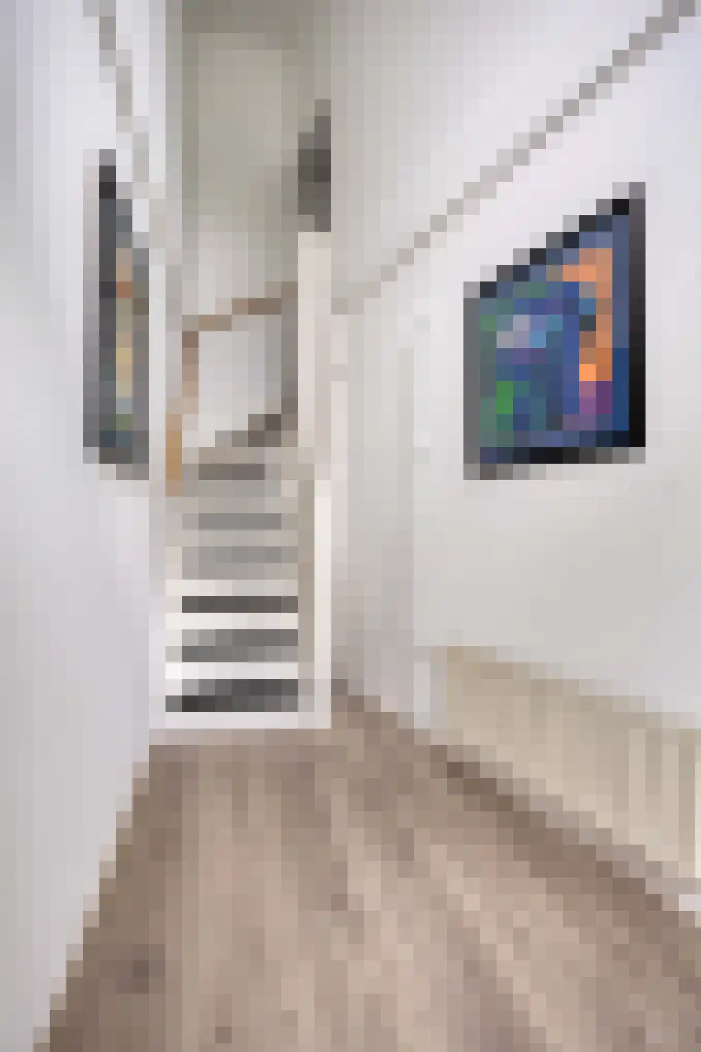 Potvisstraat 1 C Amsterdam thumbnail 7