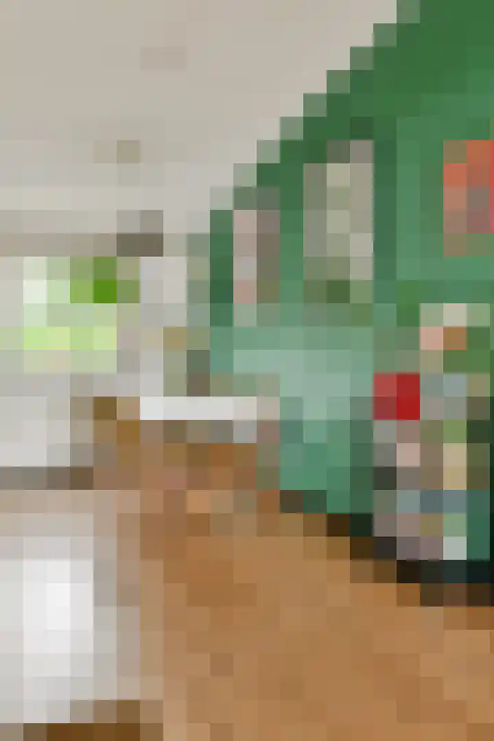 Potvisstraat 52 Amsterdam thumbnail 9