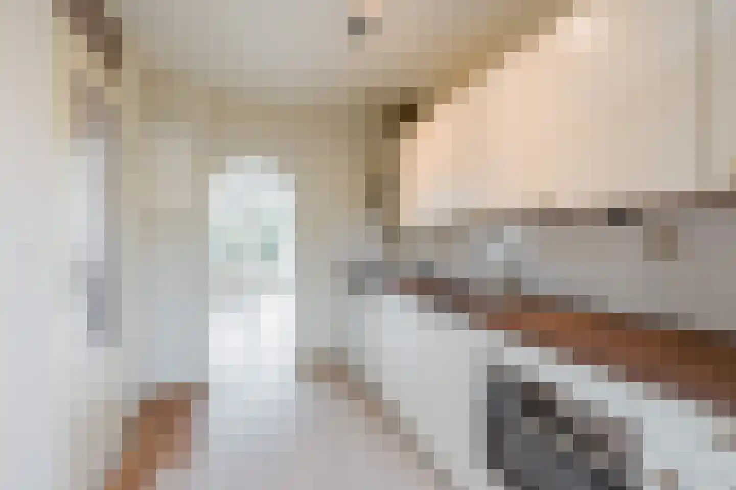 Potvisstraat 98 Amsterdam thumbnail 13