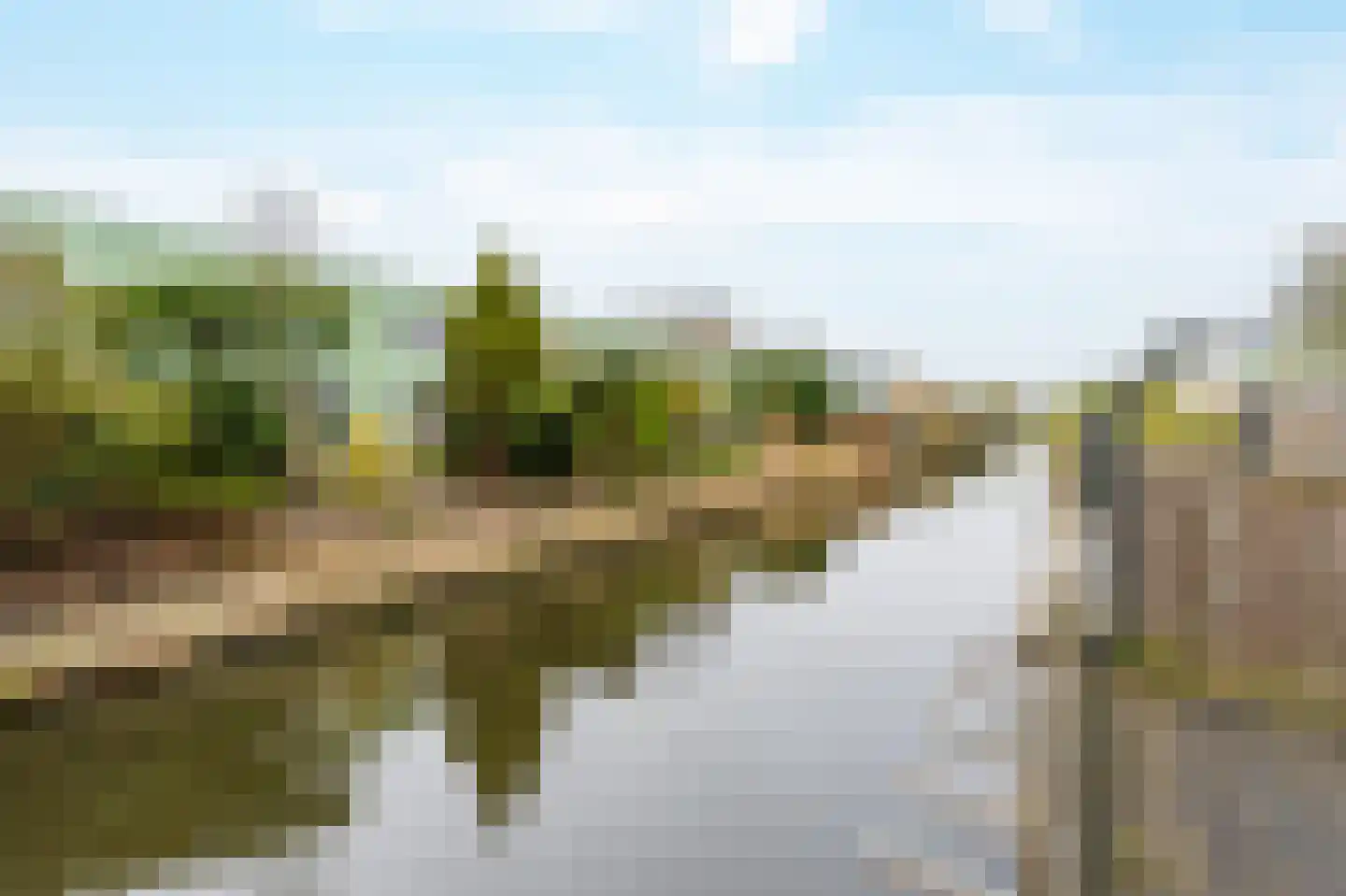 Potvisstraat 98 Amsterdam thumbnail 9