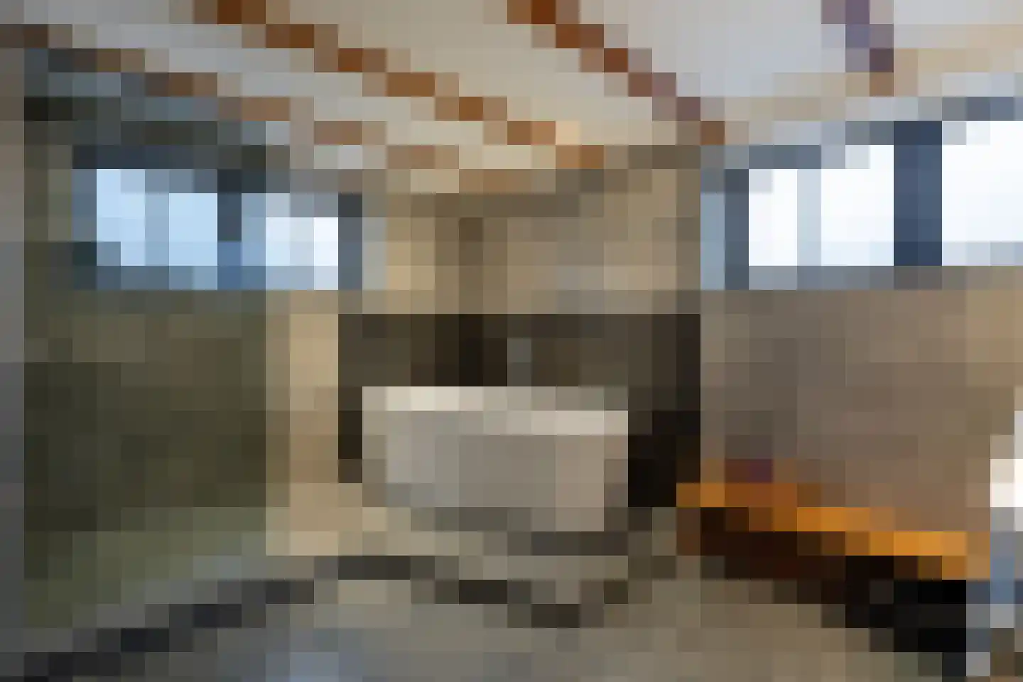 Poulinkstraat 3 Almelo thumbnail 34