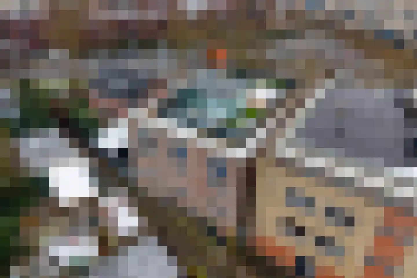 Poulinkstraat 3 Almelo thumbnail 60
