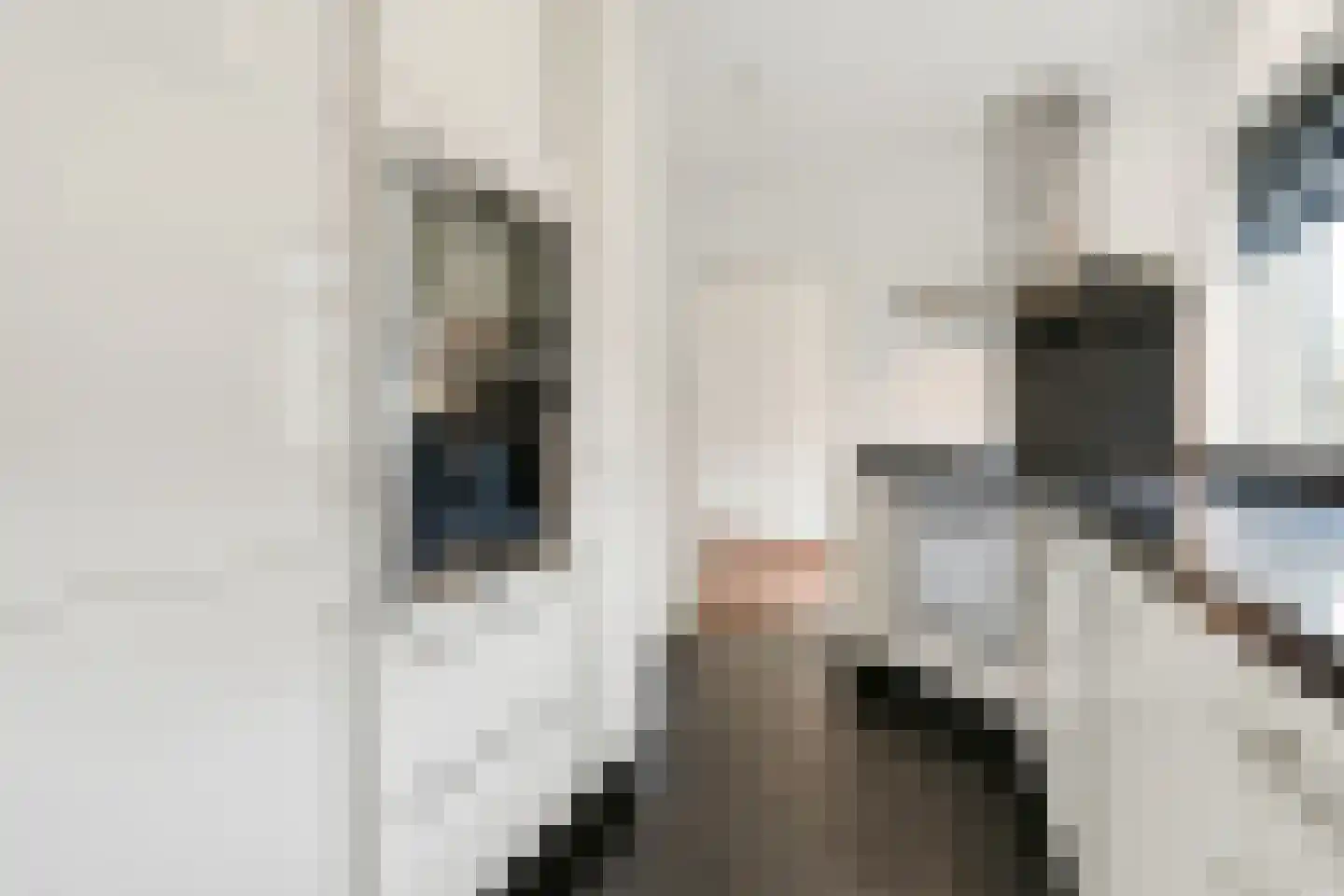 Pr.Beatrixlaan 28 Nieuwleusen thumbnail 10