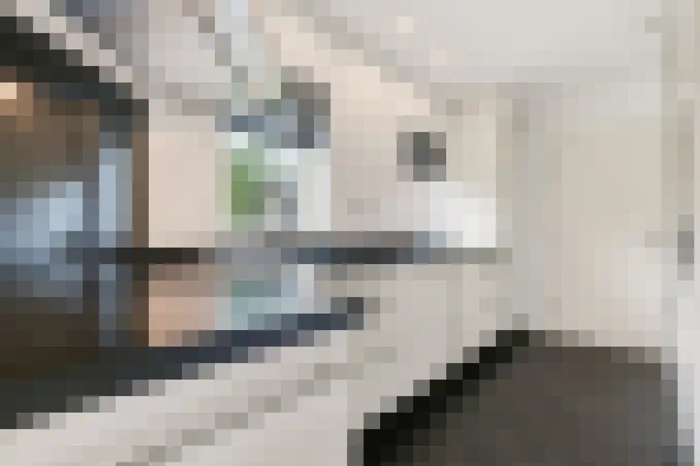 Pr.Beatrixlaan 28 Nieuwleusen thumbnail 11