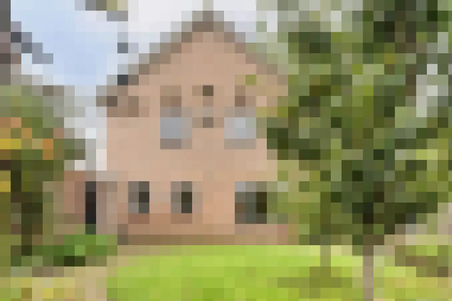 Pr.Beatrixlaan 28 Nieuwleusen thumbnail 37