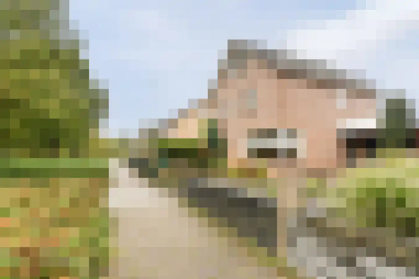 Pr.Beatrixlaan 28 Nieuwleusen thumbnail 4