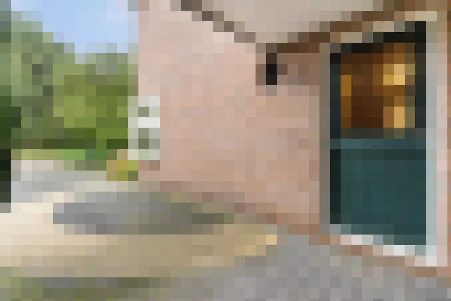 Pr.Beatrixlaan 28 Nieuwleusen thumbnail 5