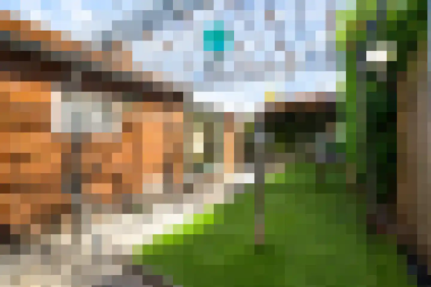 Pr. Beatrixstraat 38 Horst thumbnail 37
