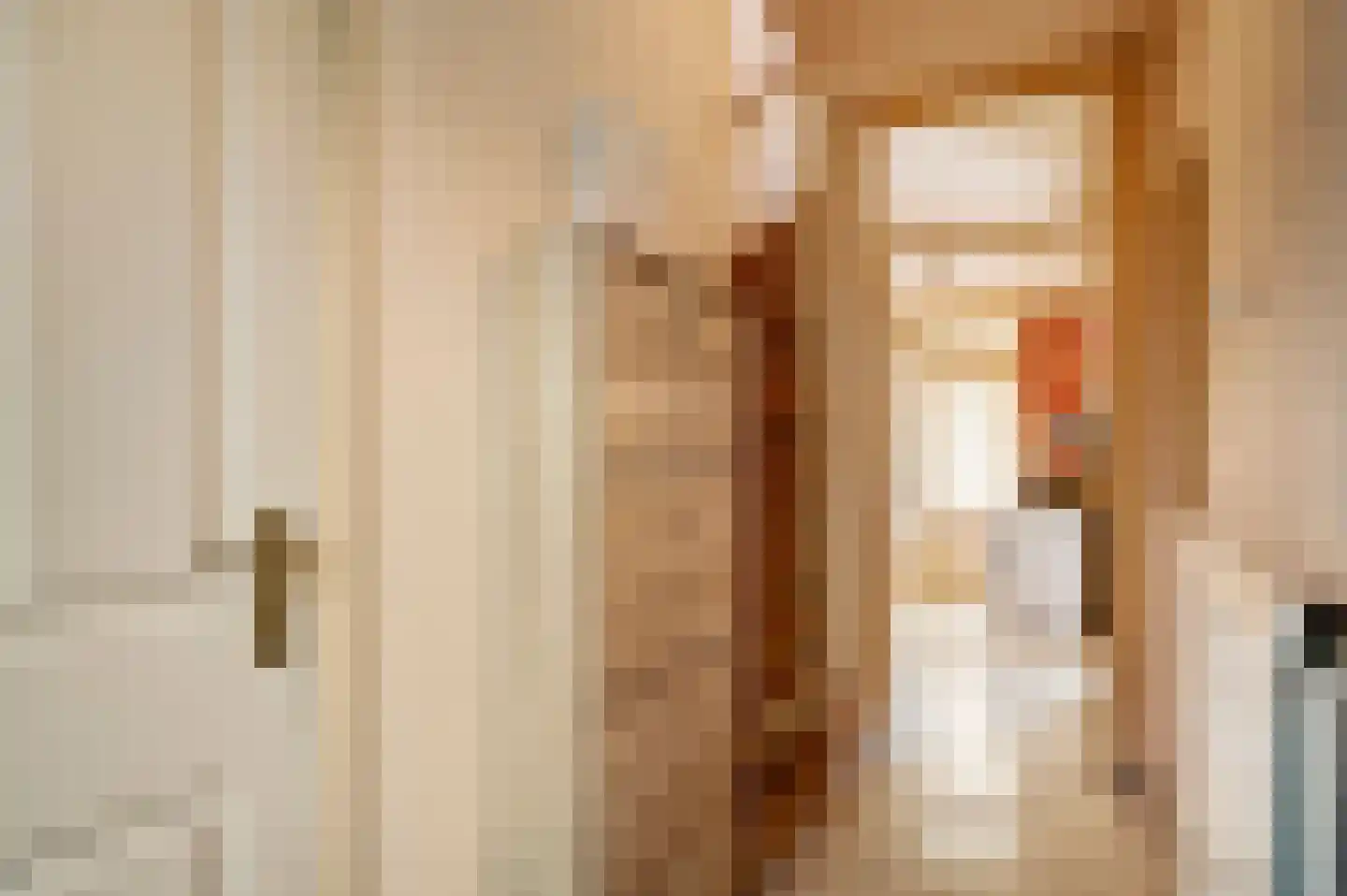 Pr. Beatrixstraat 38 Horst thumbnail 7