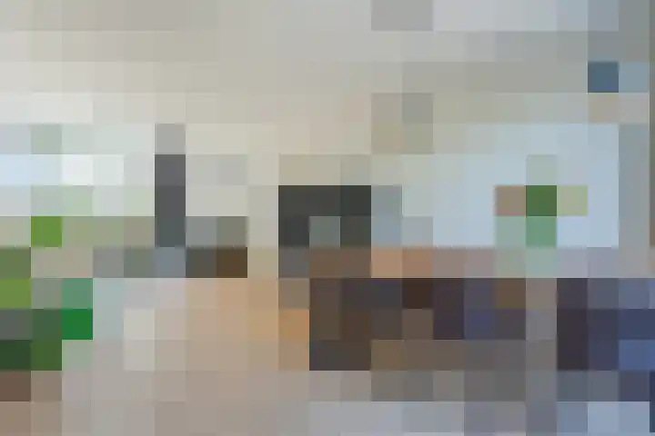 Pr.Bernhardlaan 1 Nieuwleusen thumbnail 10