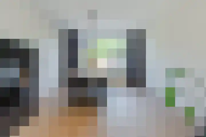 Pr.Bernhardlaan 1 Nieuwleusen thumbnail 13