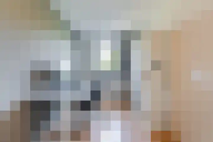 Pr.Bernhardlaan 1 Nieuwleusen thumbnail 18