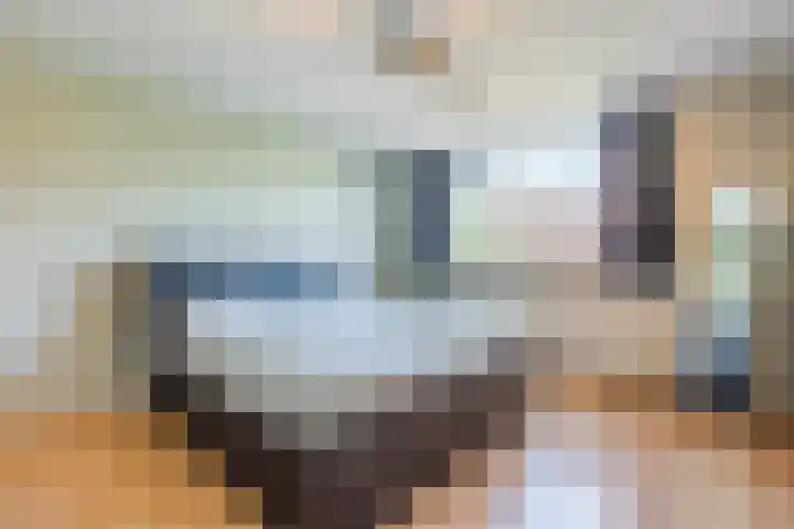 Pr.Bernhardlaan 1 Nieuwleusen thumbnail 19