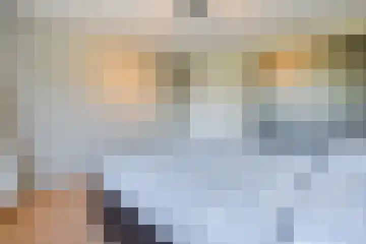 Pr.Bernhardlaan 1 Nieuwleusen thumbnail 20