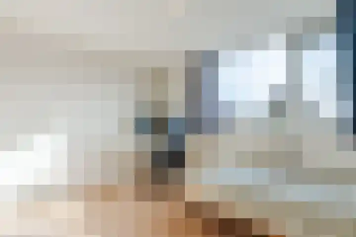 Pr.Bernhardlaan 1 Nieuwleusen thumbnail 22