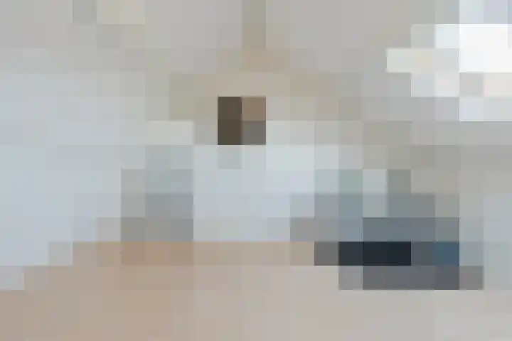 Pr.Bernhardlaan 1 Nieuwleusen thumbnail 28