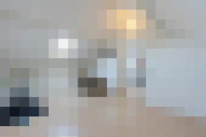 Pr.Bernhardlaan 1 Nieuwleusen thumbnail 29