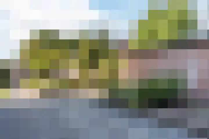 Pr.Bernhardlaan 1 Nieuwleusen thumbnail 31